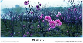 桃花园