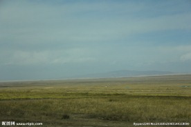 青海湖草原