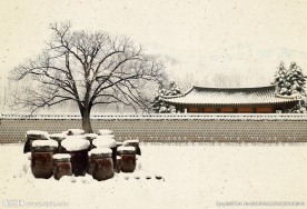 中国工笔画