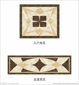 入户和走道地花