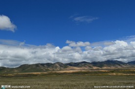 青海草原风光