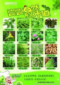 野菜