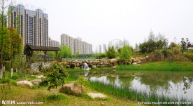 洋湖湿地公园