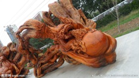 世界名木博览园