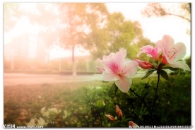 春暖花开