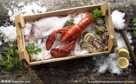 海鲜料理