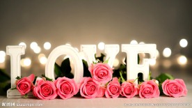 love 玫瑰
