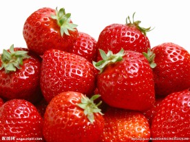 草莓