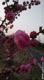 春天的瞬间