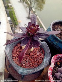 黑法师