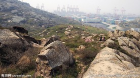 洋山深水港