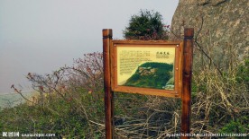 洋山深水港