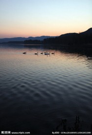 天鹅湖