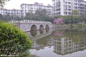 公园小景 桥 湖面