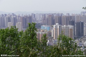 城市森林