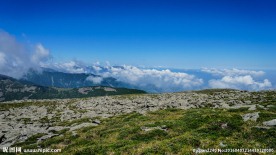 太白山风光
