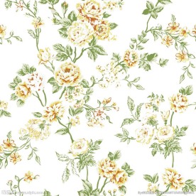 服装印花花纹花边