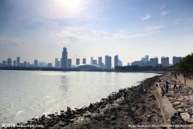 深圳湾