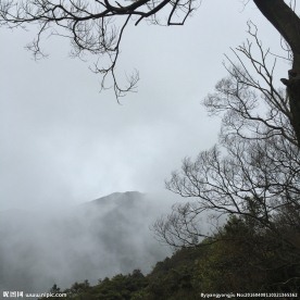 云海