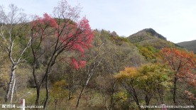 七里峪秋色