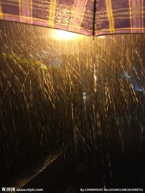 雨中