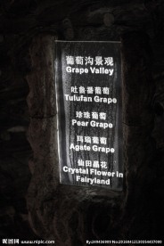 银狐洞导引