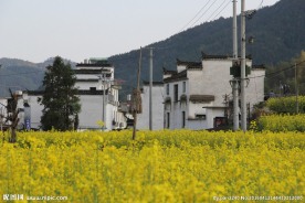 婺源风光