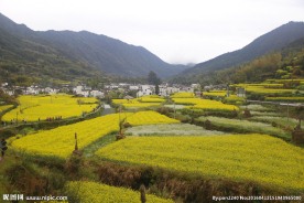 婺源风光