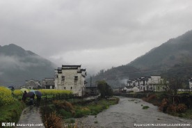 婺源风光