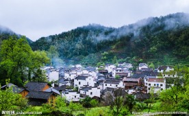 婺源风光