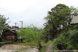 婺源风光
