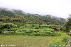 婺源风光