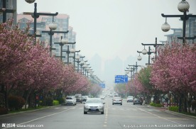 西安曲江池西路