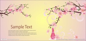 唯美樱花