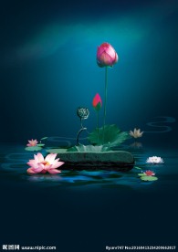 荷