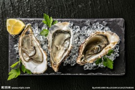 生蚝