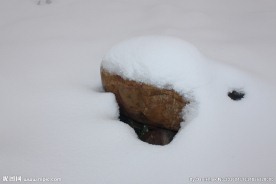 雪