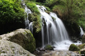 三峡人家杨家溪