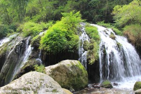 三峡人家杨家溪