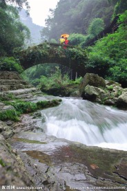 三峡人家杨家溪
