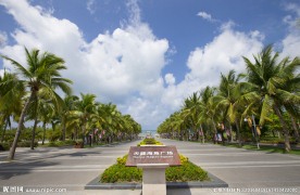 海南特色风光