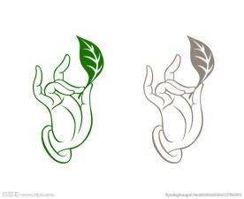 茶手