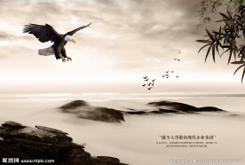 文化展板雄鹰展翅高飞