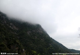 高山云雾