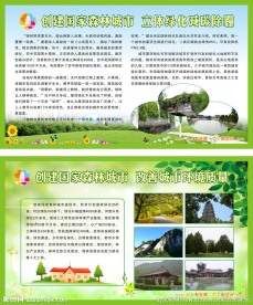 创建森林城市
