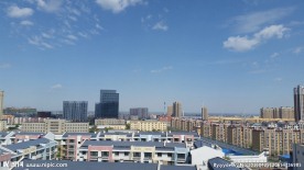 城市