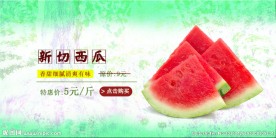 西瓜海报