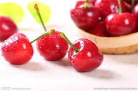 樱桃
