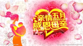 亲情五月