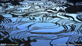 元阳梯田